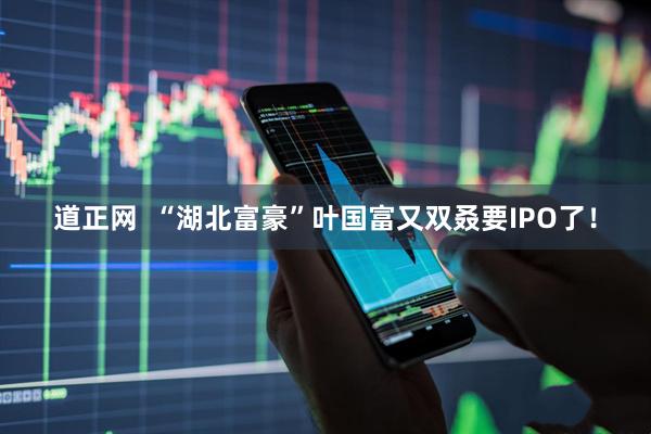 道正网  “湖北富豪”叶国富又双叒要IPO了！