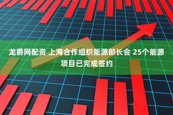 龙爵网配资 上海合作组织能源部长会 25个能源项目已完成签约