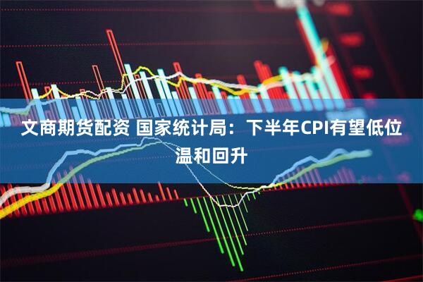 文商期货配资 国家统计局：下半年CPI有望低位温和回升