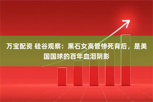 万宝配资 硅谷观察：黑石女高管惨死背后，是美国国球的百年血泪阴影