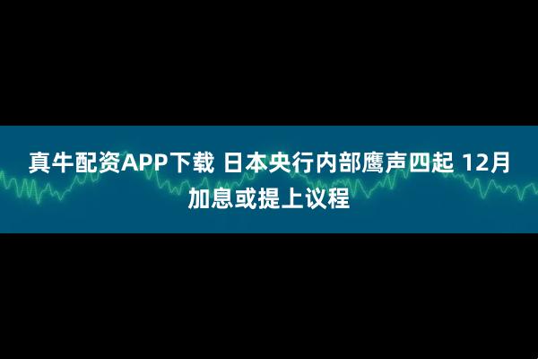 真牛配资APP下载 日本央行内部鹰声四起 12月加息或提上议程